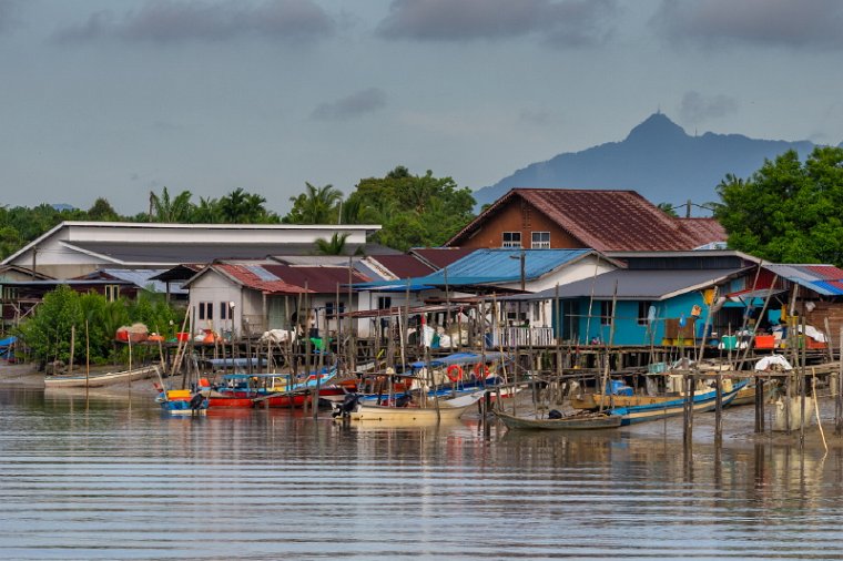 081 Kuching, Bako NP.jpg